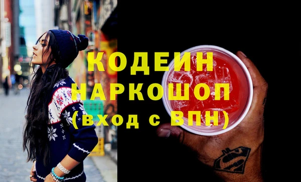 хмурый Бородино