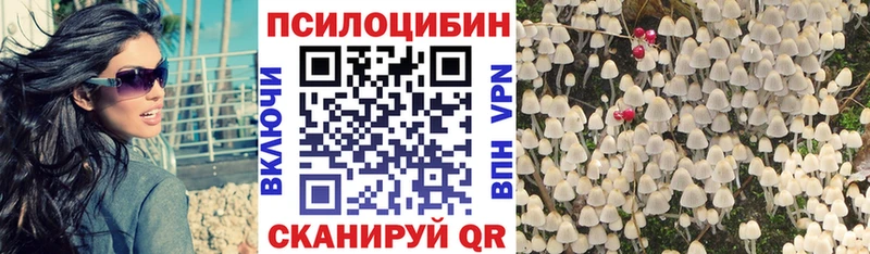 Галлюциногенные грибы Psilocybine cubensis  Купить  Пикалёво 